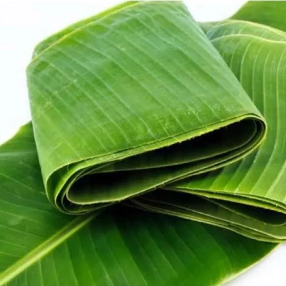 Musa Balbisiana Spec Detail